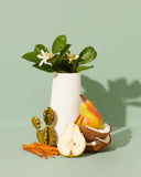 Soy Wax Candles 2 oz